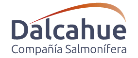 logo-dalcahue